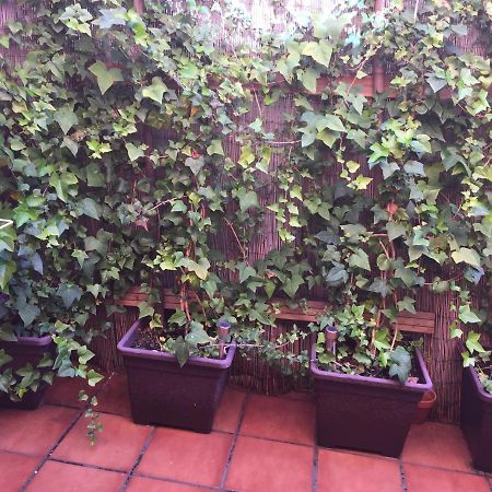 Bonito piso centro de Los Boliches Fuengirola Esterno foto