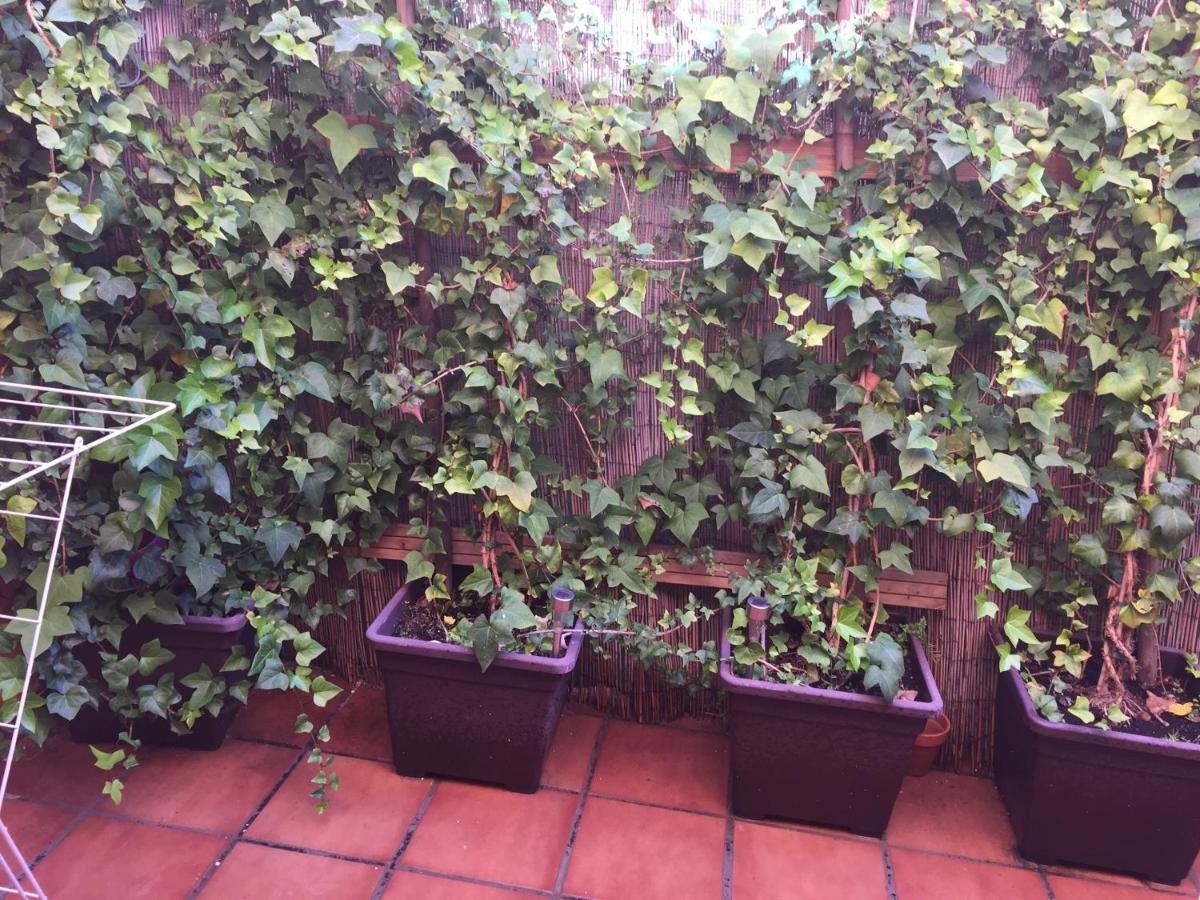 Bonito piso centro de Los Boliches Fuengirola Esterno foto